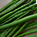 drumstick health benefits