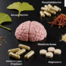 brain health supplements